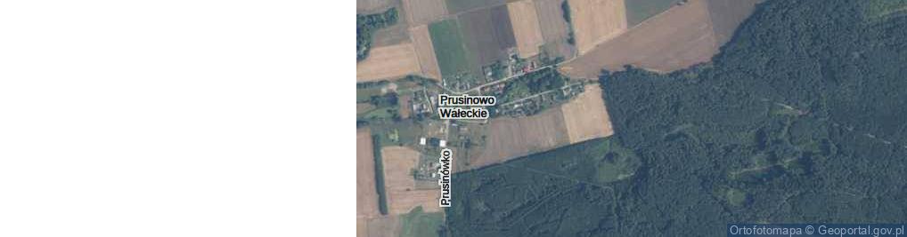 Zdjęcie satelitarne Prusinowo Wałeckie ul.